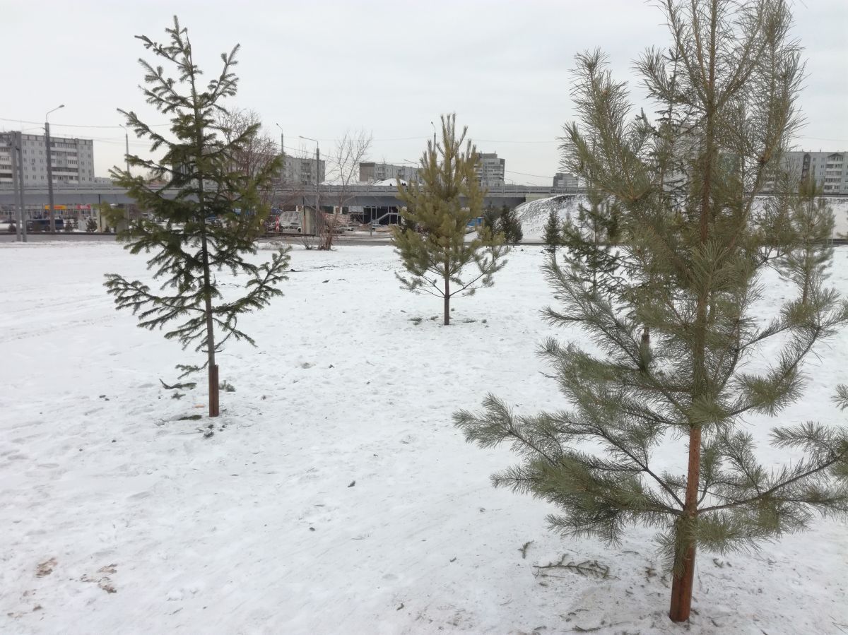 IMG_20190215_161941.jpg IMG_20190215_161941.jpg