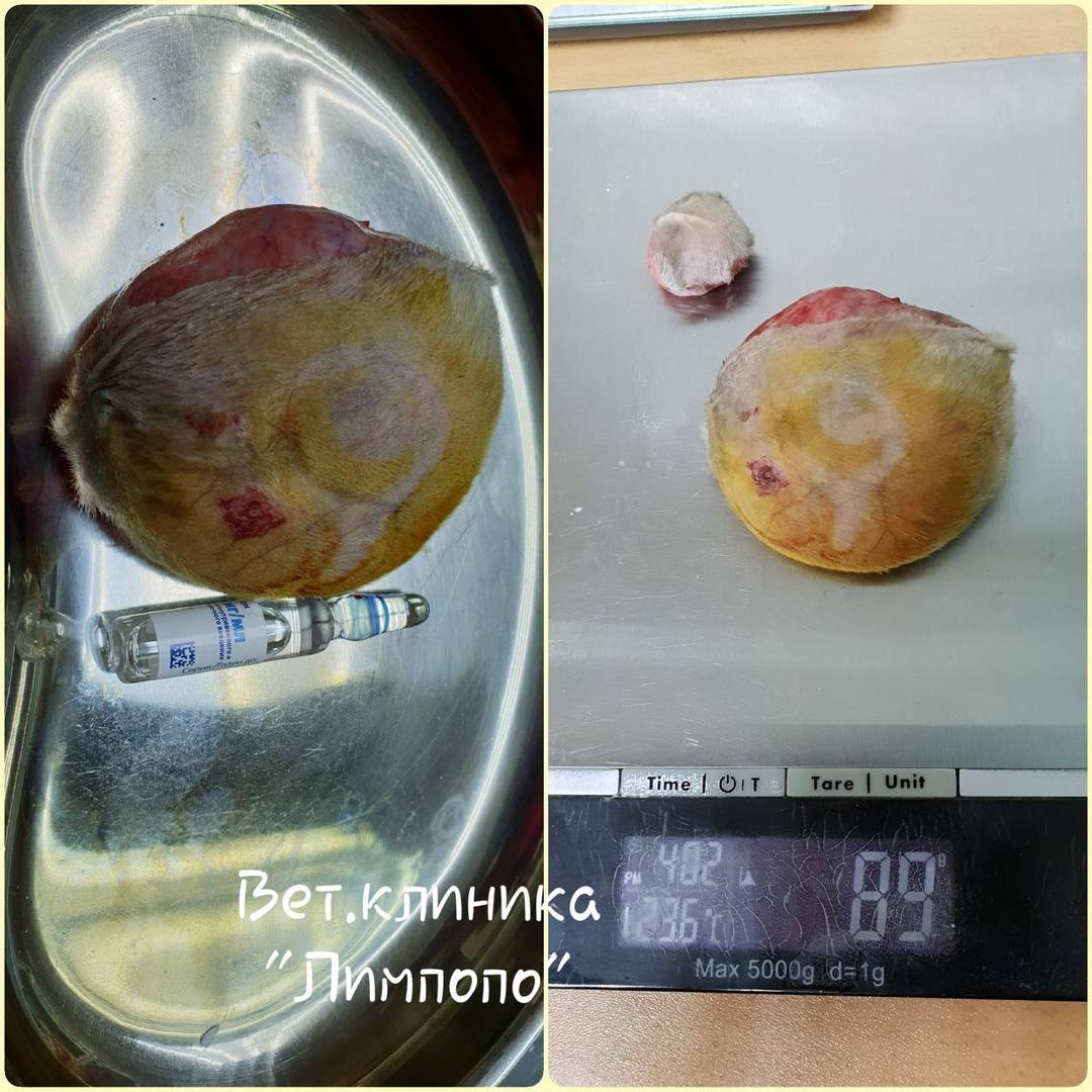 HsjhdkJ6hMc (1).jpg HsjhdkJ6hMc (1).jpg