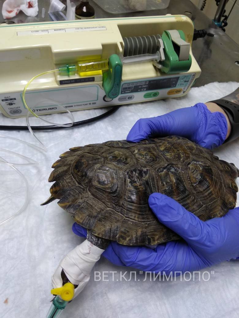 l-MvIiH0jBw.jpg l-MvIiH0jBw.jpg