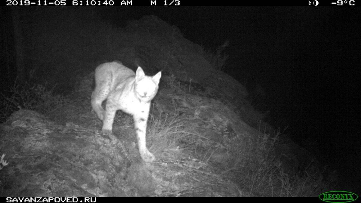 z8i9dpE2yUc.jpg z8i9dpE2yUc.jpg