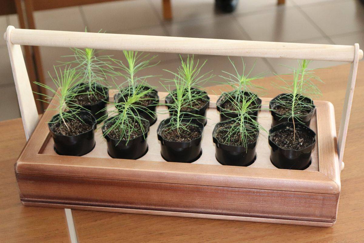 o-46074.jpg o-46074.jpg