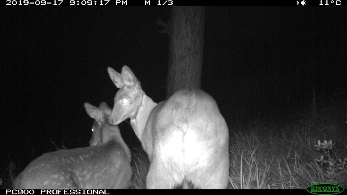 9zYkxkQwD7I.jpg 9zYkxkQwD7I.jpg