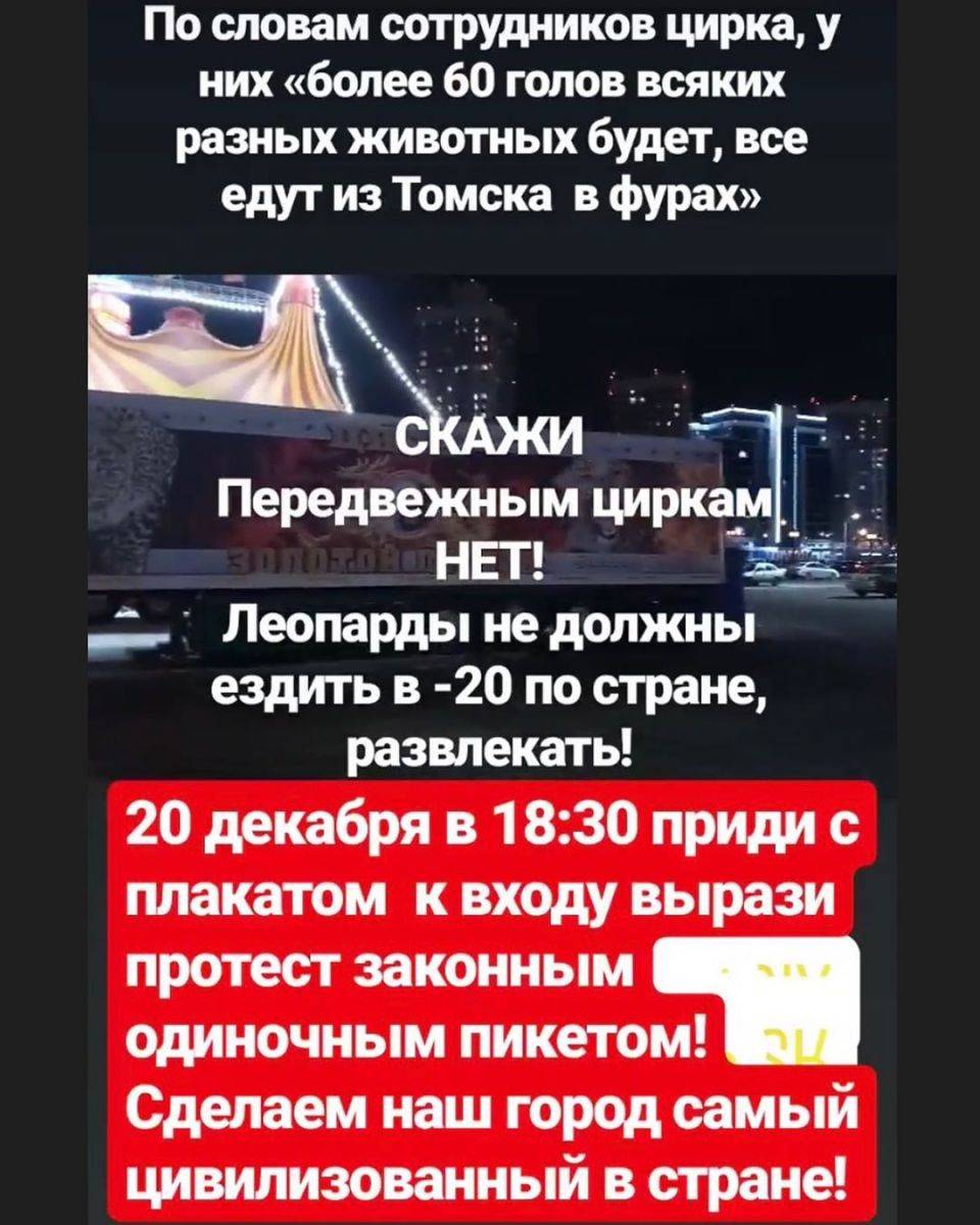 vladimirovvv_75187220_586469582115458_6094436233139834867_n.jpg vladimirovvv_75187220_586469582115458_6094436233139834867_n.jpg