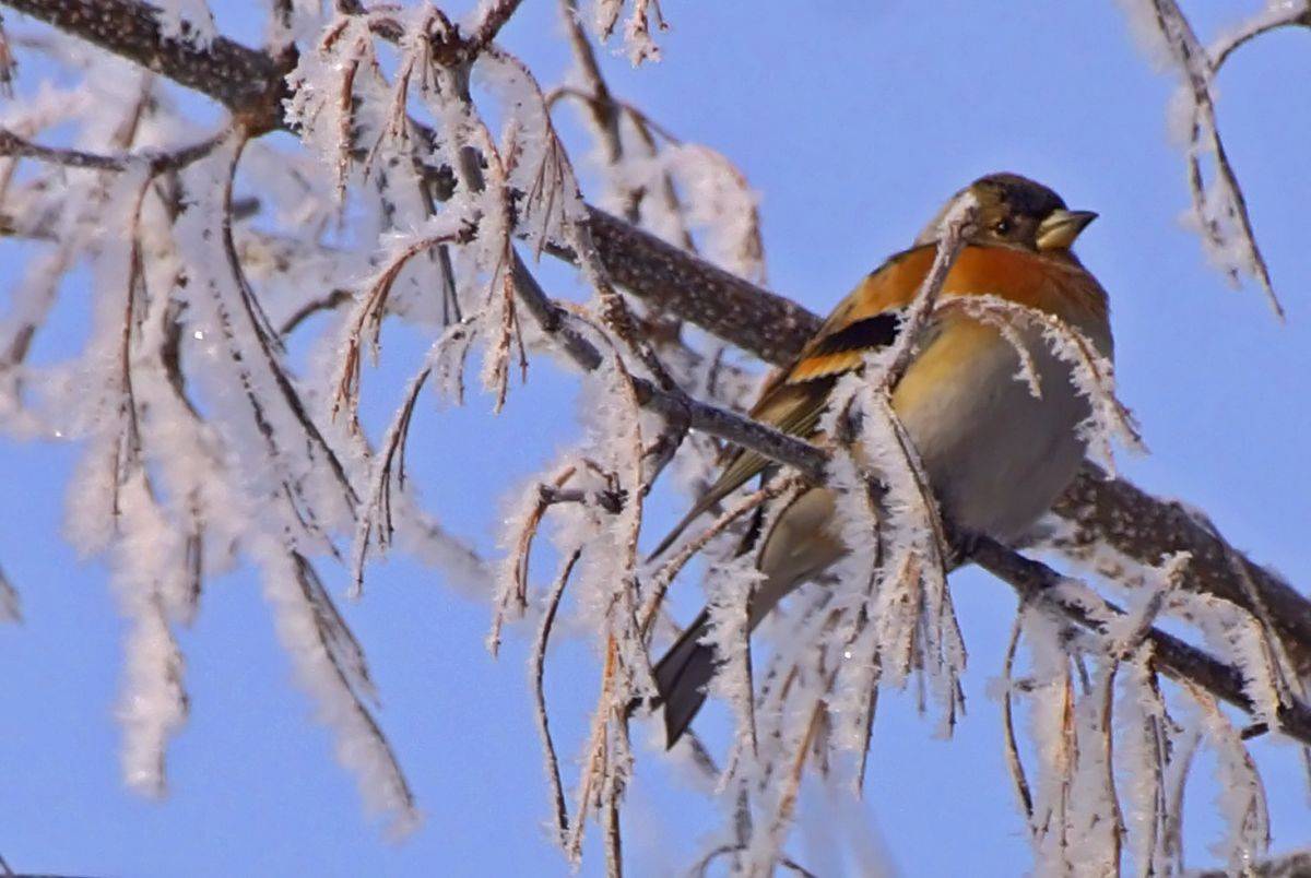 86995723_1019906328433492_5162572834643378176_o.jpg 86995723_1019906328433492_5162572834643378176_o.jpg