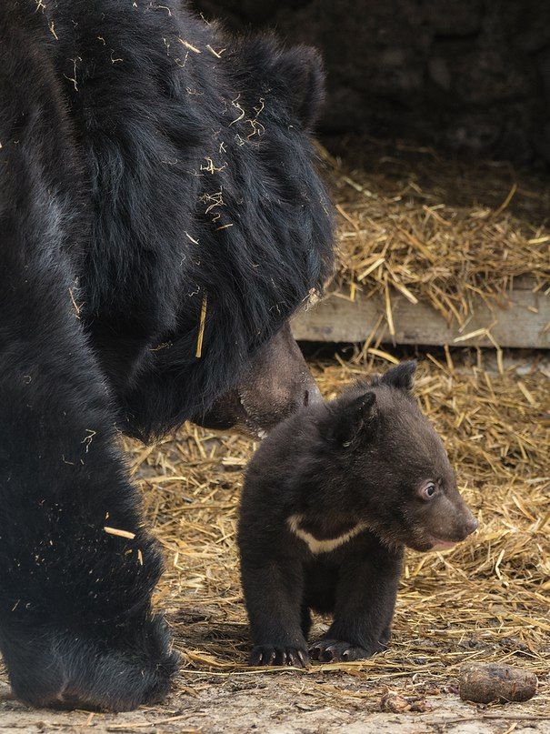 WBEd2Beo5sE.jpg WBEd2Beo5sE.jpg