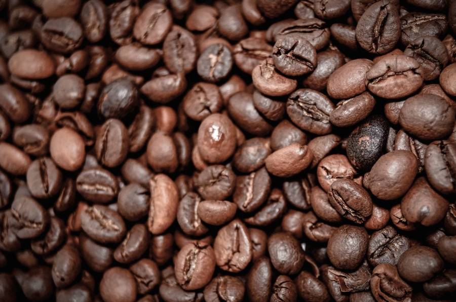 2017-06-22-19-20-33-900x596.jpg 2017-06-22-19-20-33-900x596.jpg