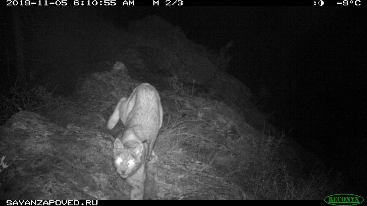 0oIV9r_DrlE.jpg 0oIV9r_DrlE.jpg