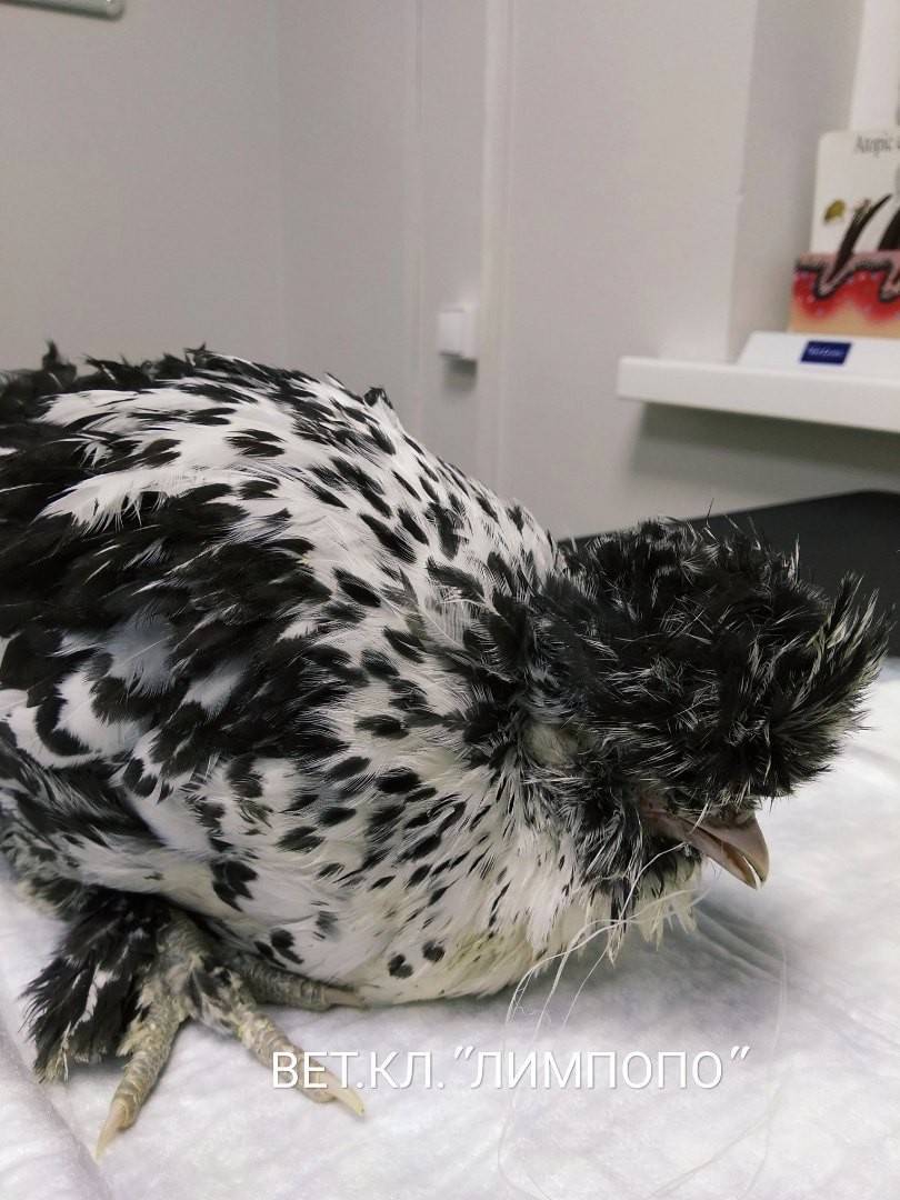 u7b9rvA8Yp8.jpg u7b9rvA8Yp8.jpg