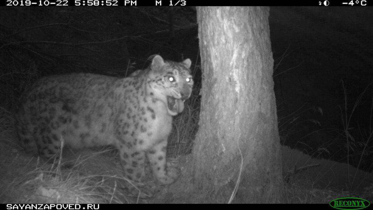 NRPeDqt86DA.jpg NRPeDqt86DA.jpg