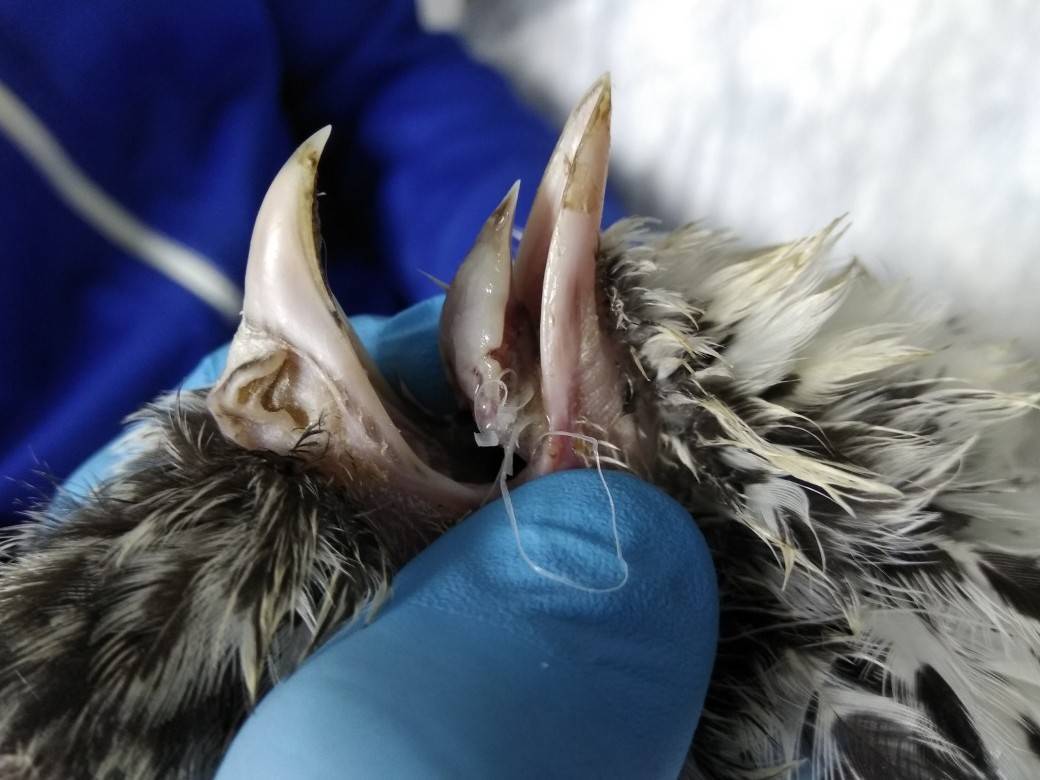 sseaJJhx9kc.jpg sseaJJhx9kc.jpg