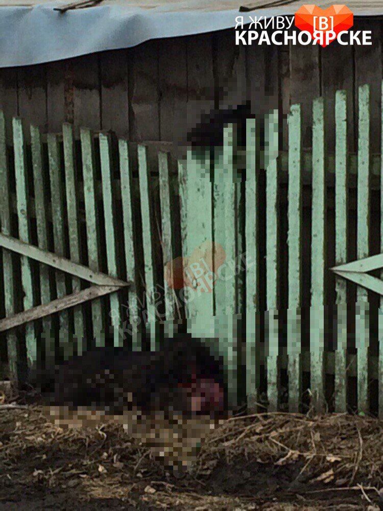 zGO59uEzTS8.jpg zGO59uEzTS8.jpg