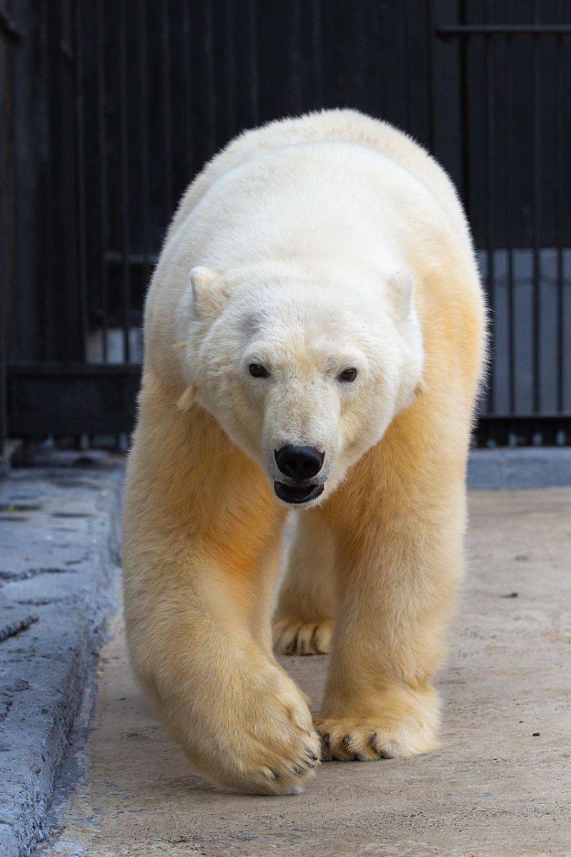 0hKacwxlwv0.jpg 0hKacwxlwv0.jpg