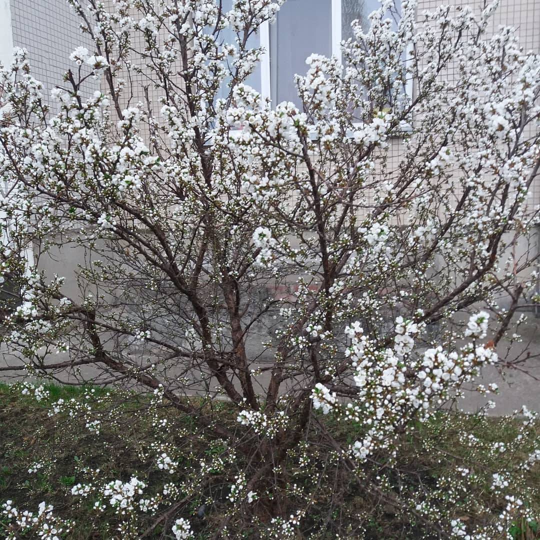 RUPtQkRxHH4.jpg RUPtQkRxHH4.jpg