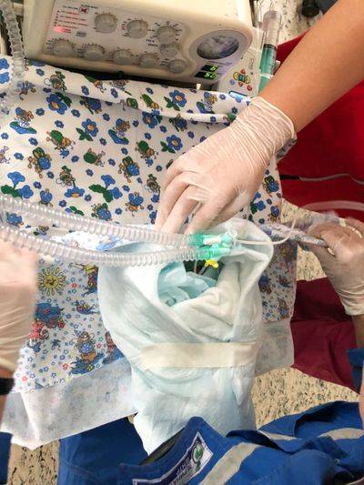 20191009-WhatsApp_Image_2019-10-02_at_11.48.40_(1).jpg 20191009-WhatsApp_Image_2019-10-02_at_11.48.40_(1).jpg