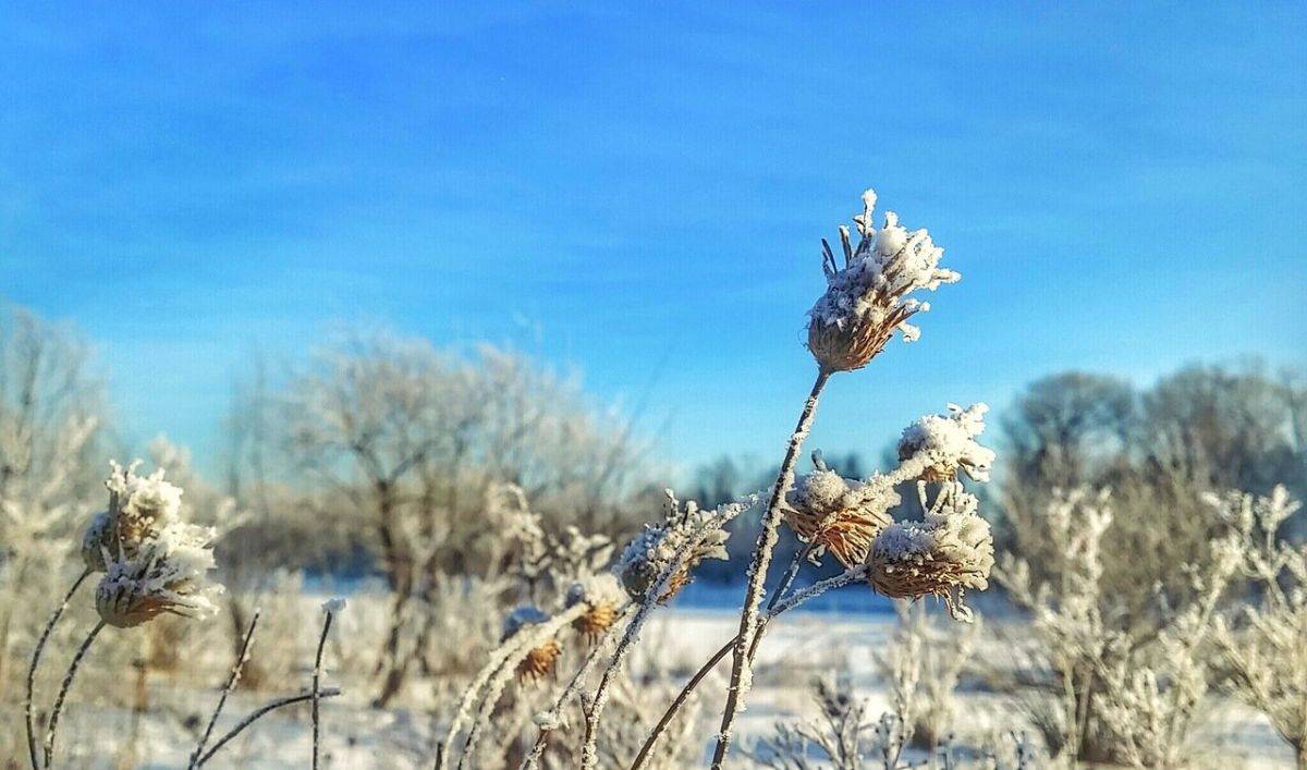 Артем Николаевич.jpeg Артем Николаевич.jpeg