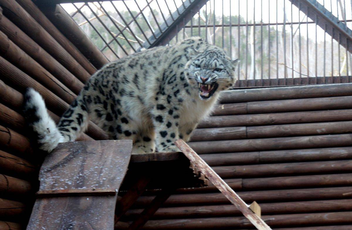 _8kQsoNnt-E.jpg _8kQsoNnt-E.jpg