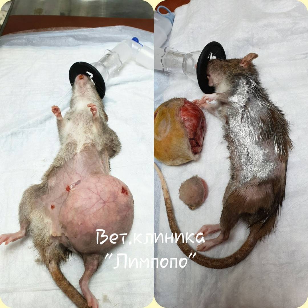 x6wPs4BAqJQ (1).jpg x6wPs4BAqJQ (1).jpg