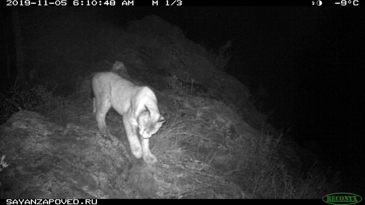 z8Ijl6Pb90o.jpg z8Ijl6Pb90o.jpg