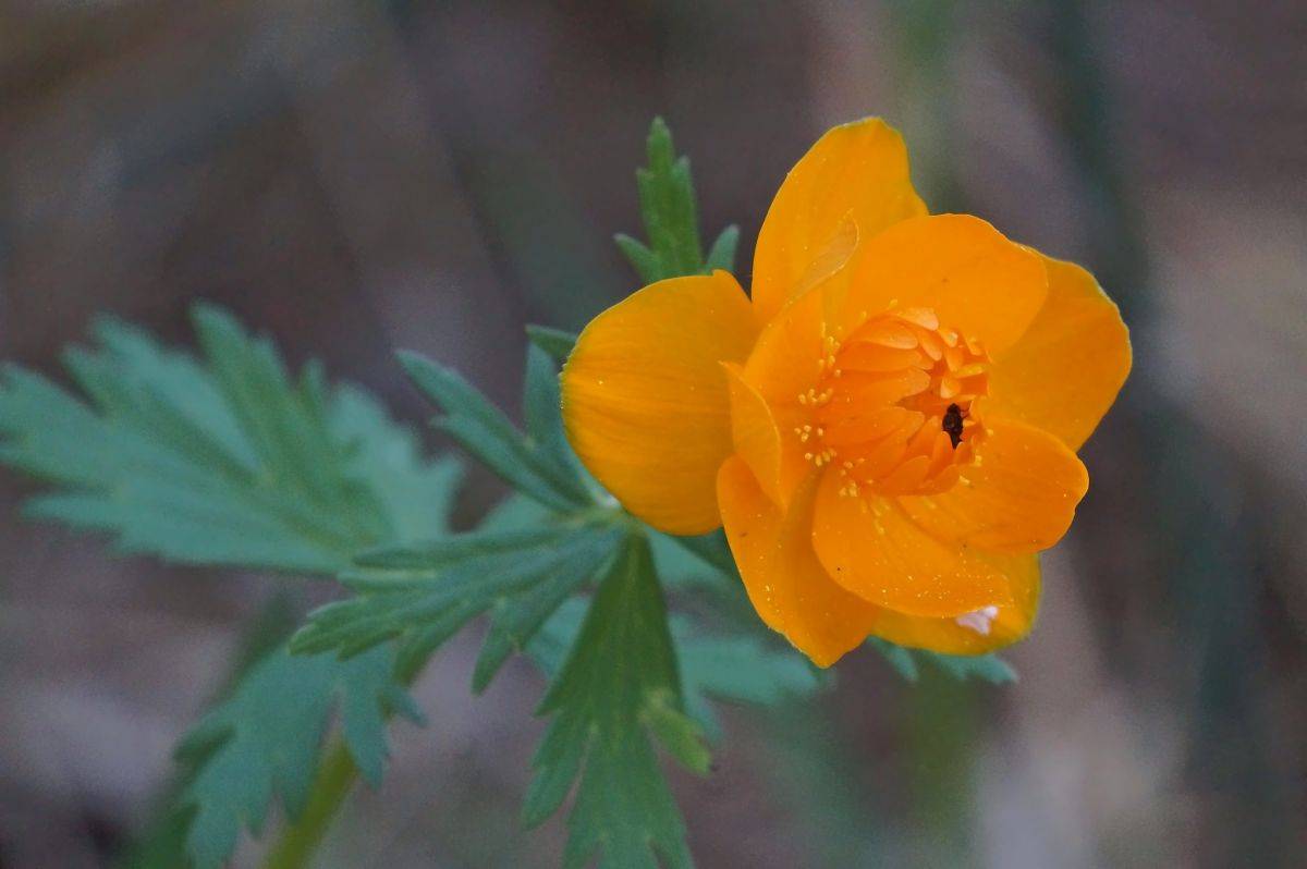 96671151_2607315066221088_5203778364334145536_o.jpg 96671151_2607315066221088_5203778364334145536_o.jpg