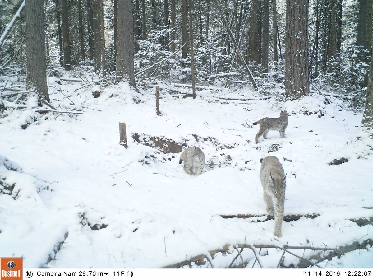 cO6F8jgAuHE.jpg cO6F8jgAuHE.jpg