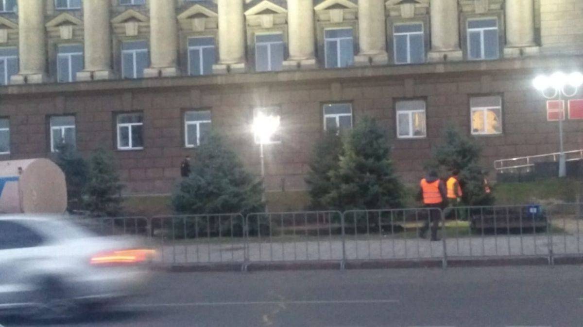 ели 2.jpg ели 2.jpg