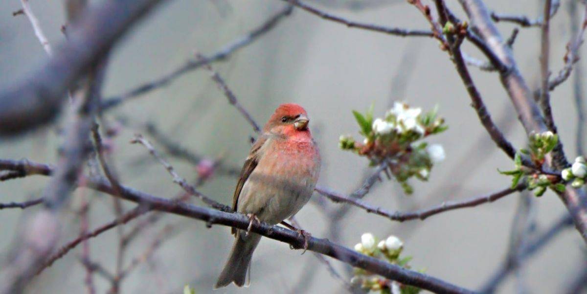 60163321_3228861097140080_7292382657860599808_o.jpg 60163321_3228861097140080_7292382657860599808_o.jpg