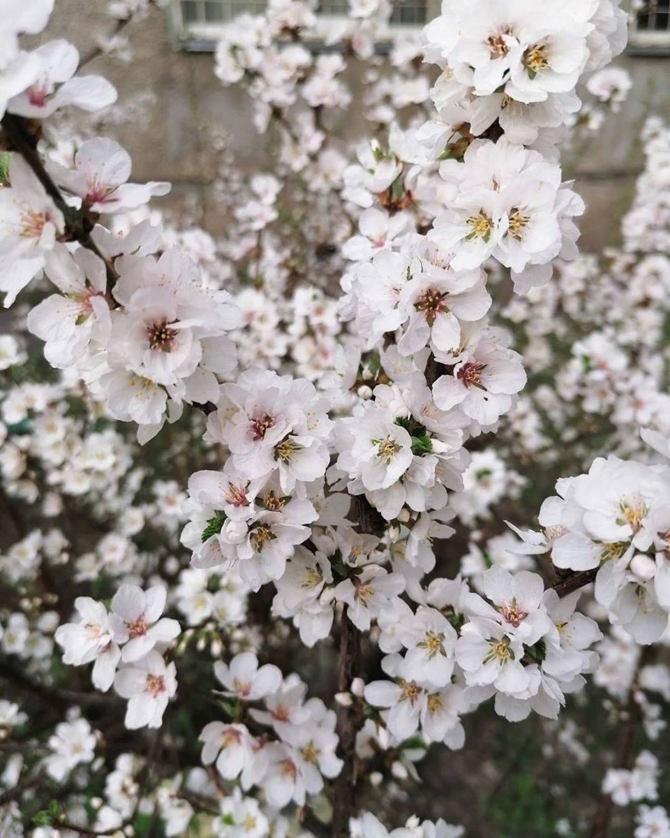 WtzzEBGCi0c.jpg WtzzEBGCi0c.jpg