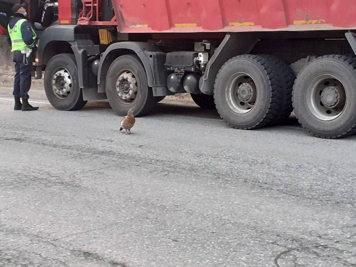 54gGUD7FbBI.jpg 54gGUD7FbBI.jpg