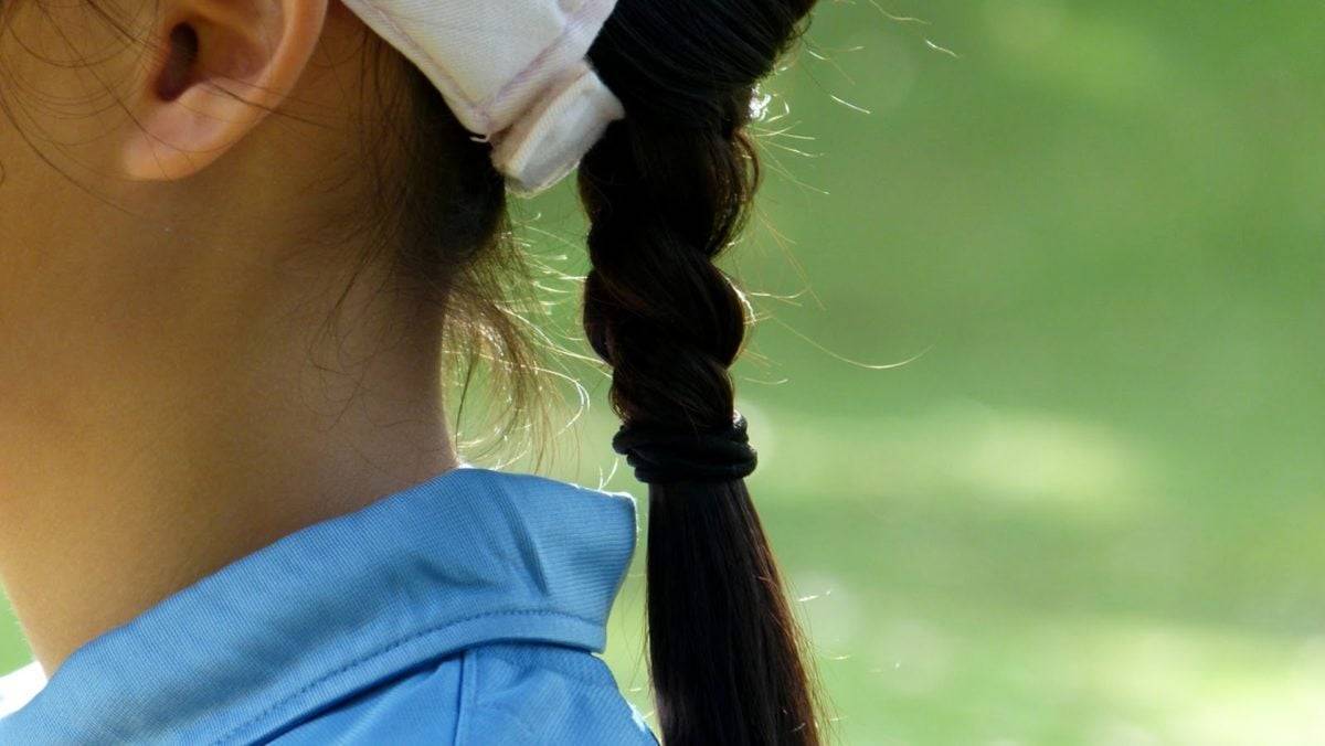 вши.jpg вши.jpg