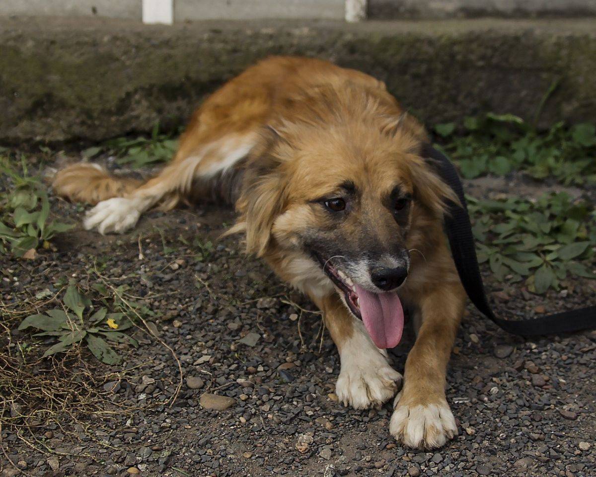 qfYNJCTcnxQ.jpg qfYNJCTcnxQ.jpg