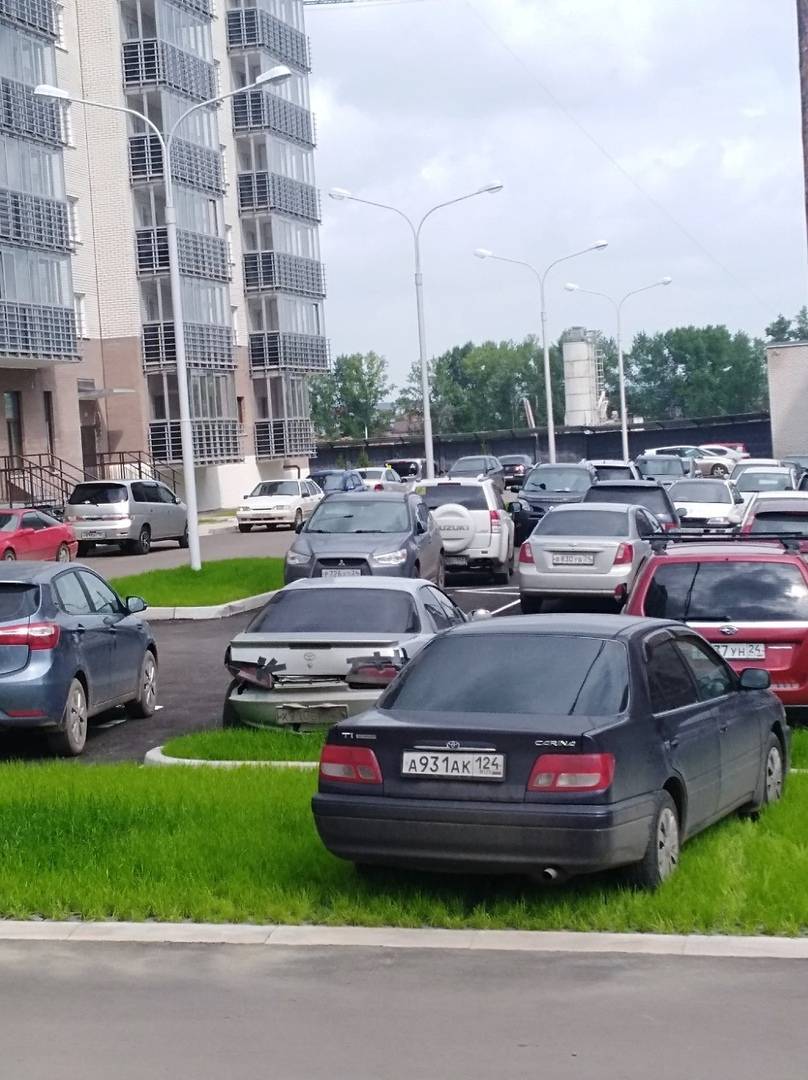 газон.jpg газон.jpg