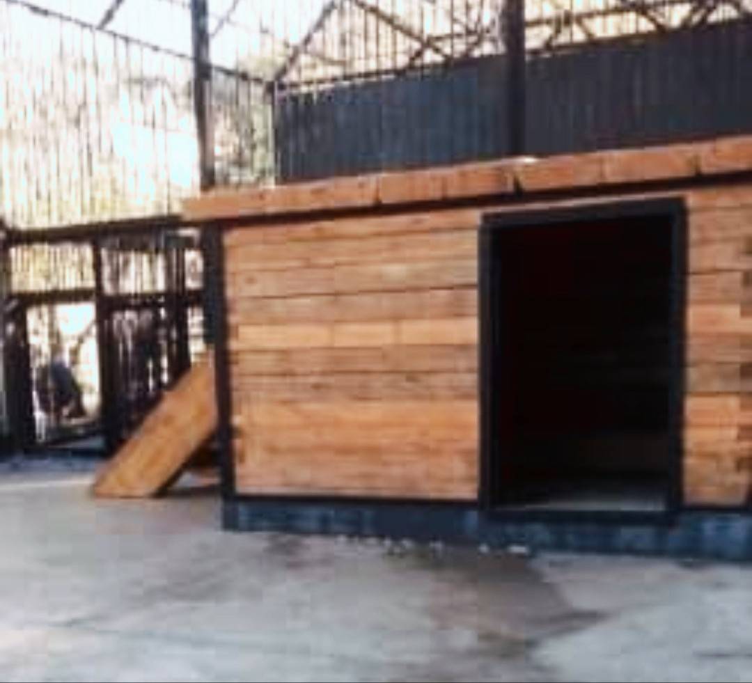 вольер2.jpg вольер2.jpg