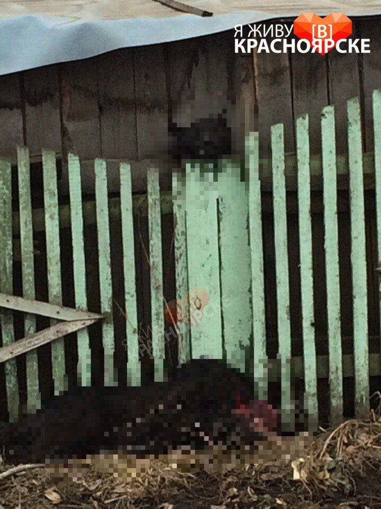 MLJ2dm4ZkqI.jpg MLJ2dm4ZkqI.jpg