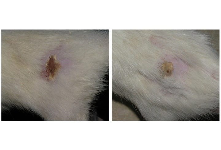 32164695_541299112938623_4624031223314907136_n.jpg 32164695_541299112938623_4624031223314907136_n.jpg