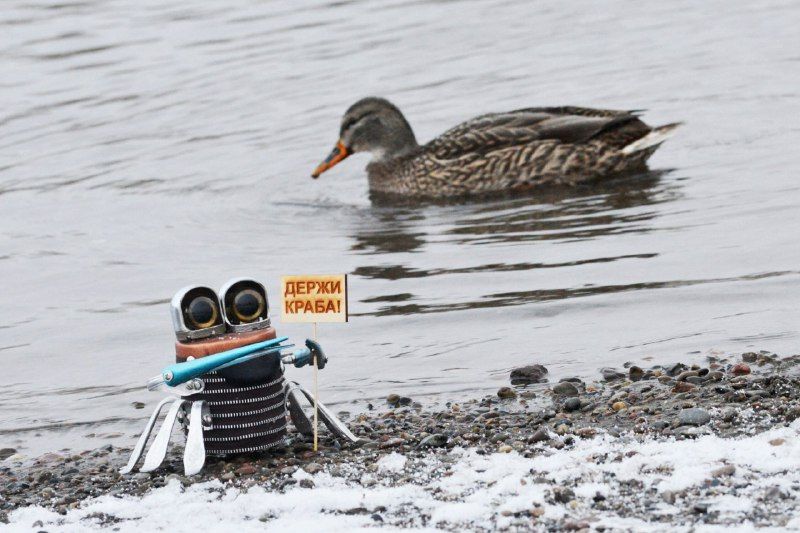 Арт-экшн - чужой против водоплавающего.jpg Арт-экшн - чужой против водоплавающего.jpg
