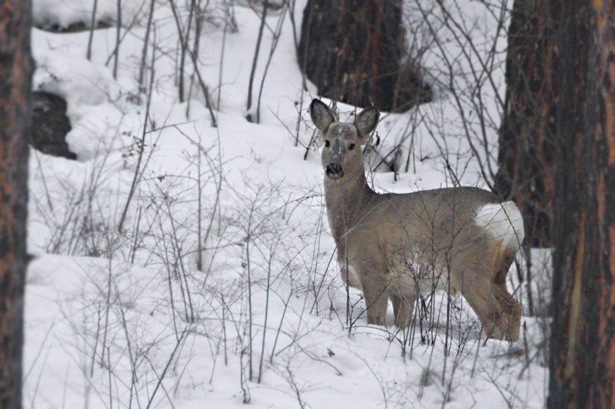 79748010_3871971166162400_1910149188356669440_o.jpg 79748010_3871971166162400_1910149188356669440_o.jpg