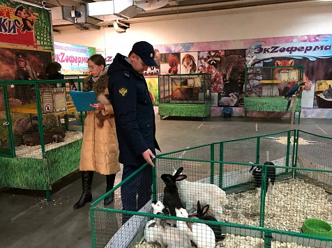 В Красноярске владельца зоопарка «Джуманджи» оштрафовали на 43 тысячи рублей за нарушения, а также запретили предприятию  работать . Фото: Прокуратура Красноярского края