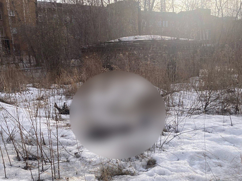 В Красноярске на территории БСМП нашли мертвую женщину. Фото: 112