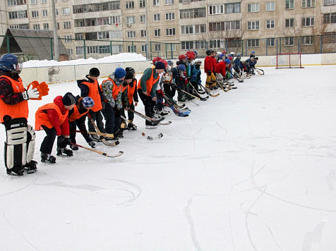 Хоккейную коробку во дворе Зеленой Рощи впервые в городе сделали платной. Фото: krasobr.admkrsk.ru