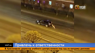 Красноярцы написали петицию с требованием наказать женщину, протащившую алабая за своей машиной 