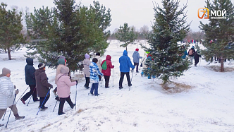 Жителей Красноярского края вдохновляют заниматься скандинавской ходьбой