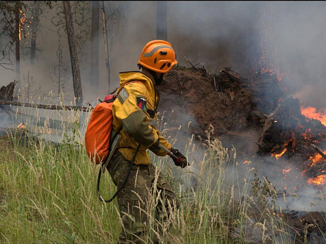 За минувшие сутки в Красноярском крае ликвидировано 2 лесных пожара. Фото: aviales.ru