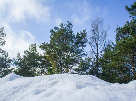 Прогноз погоды в Красноярске на первые выходные зимы. Фото: Петр Урозаев