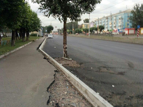 Рабочие уложили асфальт на дороге и забыли убрать дерево (фото). Фото: Kate Burchevskaya / facebook.com