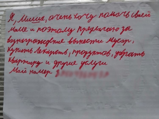 В Красноярске мальчик расклеил объявление о поиске работы, чтобы помочь своей маме