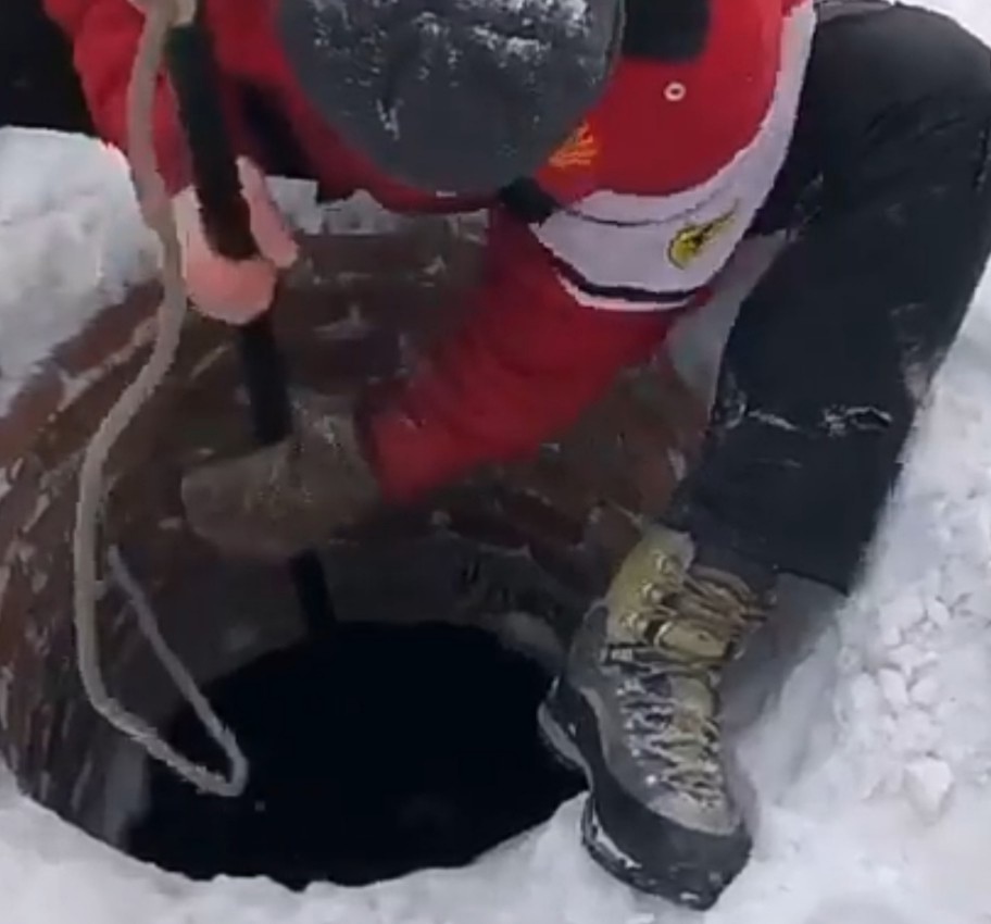 В Красноярске собака просидела в яме несколько дней