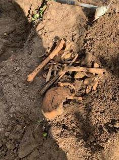 В Абакане нашли 300-летние скелеты. Фото: krk.sledcom.ru