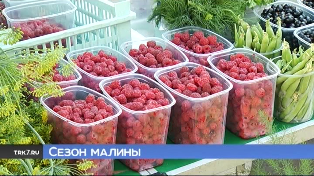 В Красноярске наступил сезон малины
