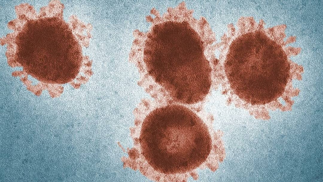 Еще 25 человек скончались от коронавируса в Красноярском крае за сутки