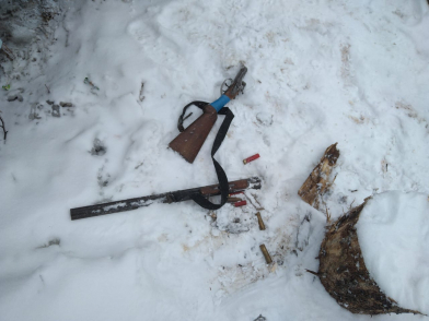 В Красноярском крае браконьеры убили двух косуль